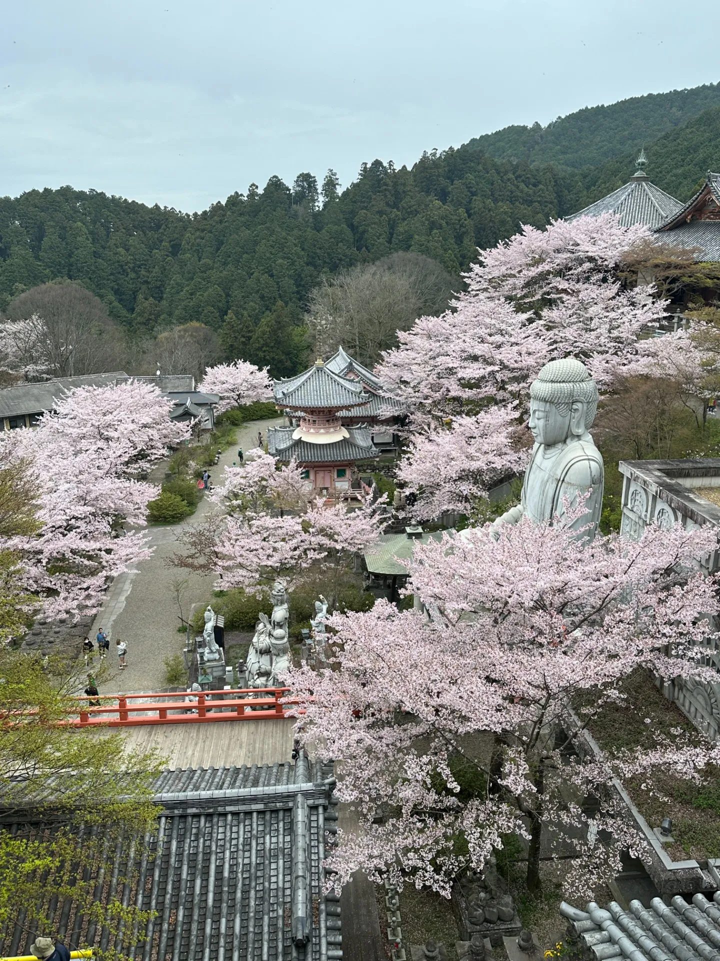 奈良旅行